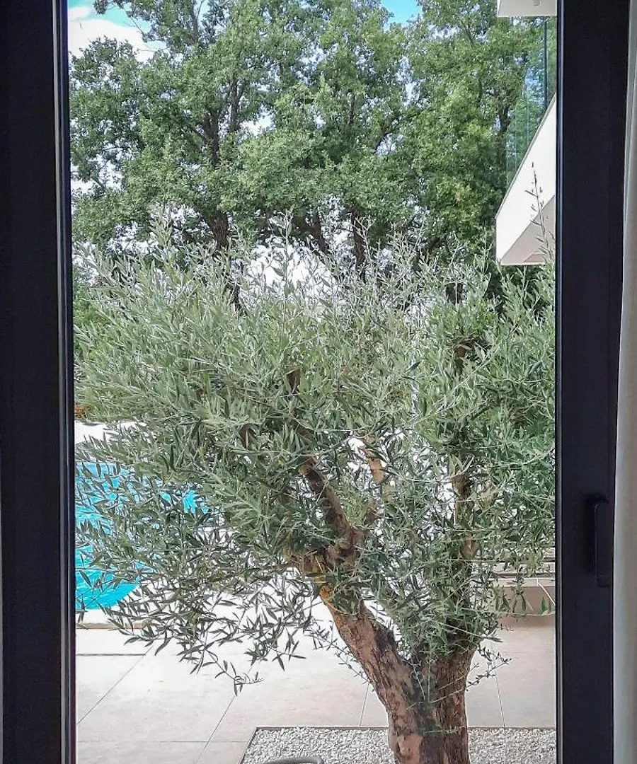Villa Lux Natura Porec
